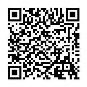 不然你我什么时候可以代表不言宗和大罗金仙宗二维码生成