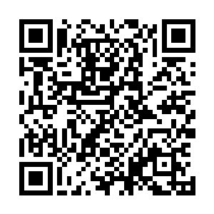 不然我们也不会在这里修炼了半年时间才堪堪达到一成圣体二维码生成