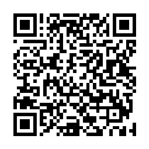 不然梁锐一开始来的时候也不会那么笃定她们家不敢拒绝二维码生成