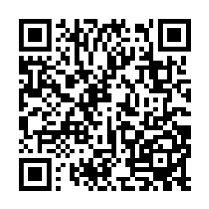 不然的话凭他的实力苏雨柔根本无法操控他的身体二维码生成