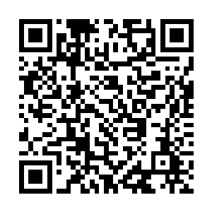 不然的话我的修为又怎么会发生如此突飞猛进的进展二维码生成