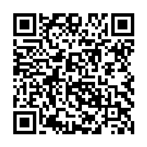 不然的话血城之中那些修罗和阿修罗可都不是好惹的二维码生成