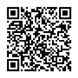 不然的话这帮畜生可能会把你的骨灰都给你扬了二维码生成