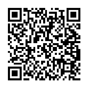 不然让他们自己乱跑的话花花世界会被他们破坏的更加严重二维码生成