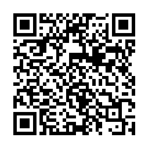 不狠狠收拾蒋芳倩乔荞心里的这口气绝对发泄不出去二维码生成