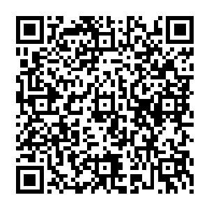 不用说也没有人会相信叶尘能够以二星武者的力量单独击杀三阶凶兽王者的斑斓火虎二维码生成