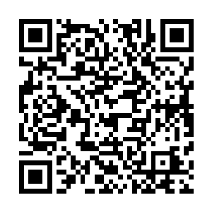 不由想起第一次在殷家别院书房看见这个漂亮得过分的少年二维码生成
