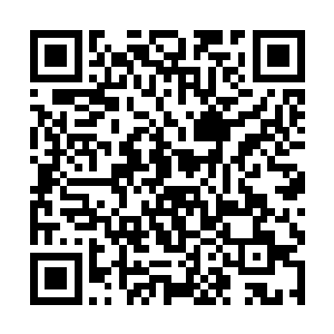不由的将手上护在胸死死地抵挡着这即将到来的一拳二维码生成