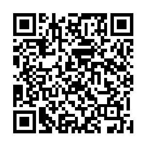 不知何时冲到门前的大汉德伦手里的军刀划出了一刀弯弧二维码生成