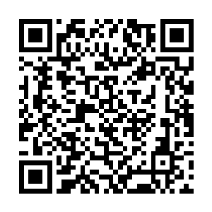 不知经历了这么多这个没有功力的小孩子现在会怎样二维码生成