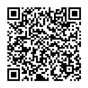 不知道为什么……虽然胜负未分……但我已经开始同情你们了……二维码生成