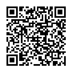 不知道什么原因血神宫竟然跟血魔宫再一次合并了二维码生成