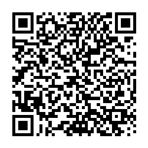 不知道伤害他的是人还是动物――这种未知的恐惧更是让他们没有勇气去挑战二维码生成