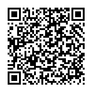不知道是清洁工人过于懒惰的缘故还是故意为秋天增添这一抹浪漫的气息二维码生成