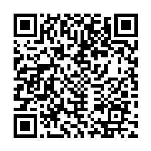 不知道没有找到消除它们的办法反倒是它们在不断地壮大二维码生成