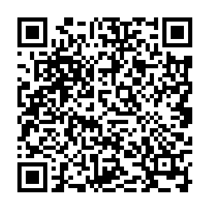 不知道荣光是否还会记得住他当初对一个连名字都不知道的普通球迷的承诺呢二维码生成