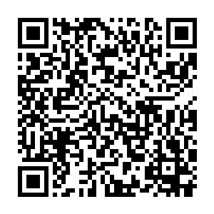 不知道该怎么安慰这位为了秦始皇陵墓几乎是奉献了半生光阴的老专家二维码生成