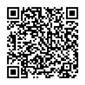 不管什么事都要黑张东城到底的黑子们对于这样一部史诗级的电影都充满了期待二维码生成