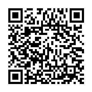 不管什么修为境界的人都是可以轻易的进入到毒雾区域当中的二维码生成