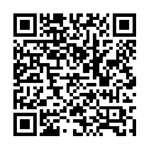 不管宋玉树在那封诏书里把离阳皇帝说得如何不堪二维码生成