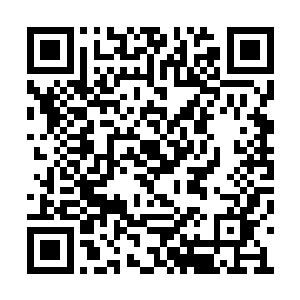 不管是姚翠芬还是姚丽芬都没有去开铺子的意思二维码生成