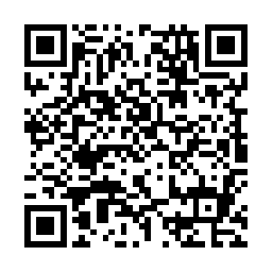 不管是撕心裂肺的疼痛还是沐浴在地中海阳光下的舒服二维码生成