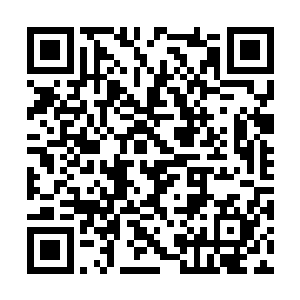 不管这个正在沉睡的恐怖巨人到底是什么样的存在二维码生成