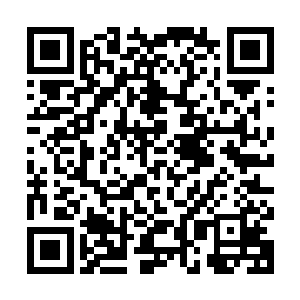 不管这些学生是在学校还是在学校外面都逃不过那个凶手的爪牙二维码生成