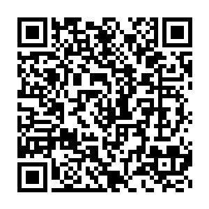 不能亲自去银月域保护道魂界十万修士和一百多名妖皇的主要原因二维码生成