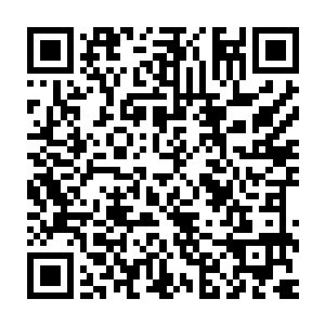 不能够将这难得的机会和短短的时间浪费在无法快速提升的剑意上了二维码生成