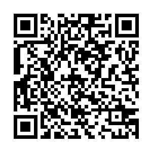 不要以为你们破坏了破界传送阵就可以高枕无忧了二维码生成