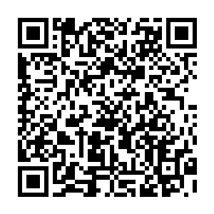 不要杀我……不要杀我……我不会说的……我发誓这辈子不会踏出田园村半步二维码生成