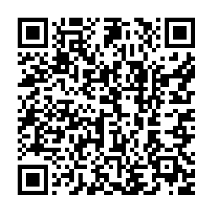 不要说去从科莫音巨蛇或者霍拉尔黑蛇这种恐怖的巨蛇身上获得血脉二维码生成