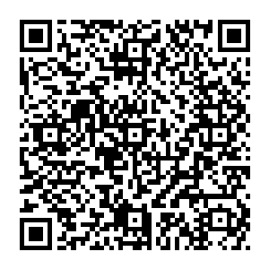 不要说帅真就连金雨薇这位美女经理和罗秋萍这位已婚少妇全都一致扭头冲夏云杰以不可反抗的语气断然否定道二维码生成