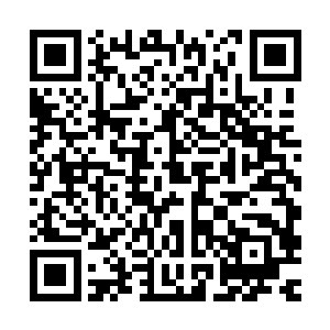 不论是为了给主办方面子还是为了观察揭幕式这两支队伍的实力二维码生成