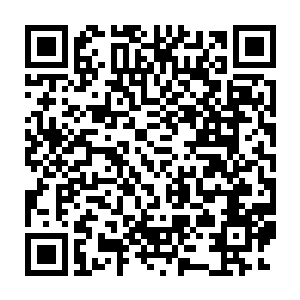 不论是赏赐给参加大比的秘传弟子的宝物以及秘法等等都不可预计二维码生成