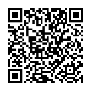 不论是黑暗精灵还是暗极域的巫师都倒在了他们身前二维码生成