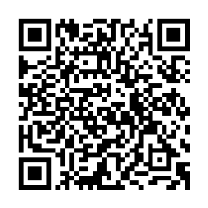不说一颗续脉丹贵到要龚家这种二流家族花费三分之一的家产二维码生成
