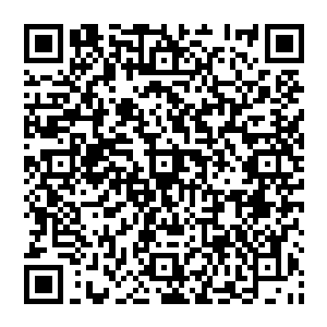 不说别的就是国鸟白头海雕贝海相信只要自己出的价格合适那些走私贩子都会提供送货上门的服务二维码生成