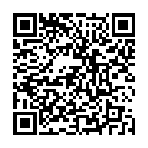 不说唐仁拳脚相加却没有在桂元子的身上脸上留下丝毫伤痕二维码生成
