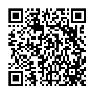 不迂他还是装模作样的眺望了一眼・这才挥舞着手中的小扇子二维码生成