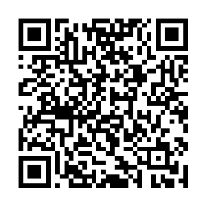 不过……好像灿灿从小就不喜欢和灵儿用一样的东西二维码生成