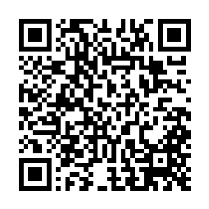 不过……当我让这把枪真正地成为我肢体延伸的一部分时二维码生成