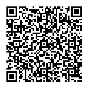 不过 这些都不重要 重要的是 他怎么才能顺利的走过独木桥 怎么打败那坐在尽头的身影 怎么打开世界膜胎二维码生成