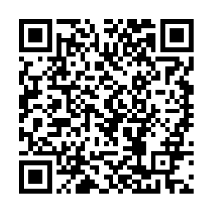 不过两位使者的血脉显然并没有达到真正的神品层次二维码生成
