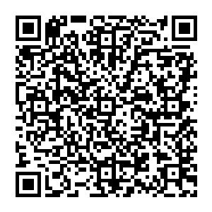 不过为了保险期间贝海还是决定换一下作业的海域用来摆脱这些不知道从哪里冒出来的讨厌鬼鱿鱼二维码生成