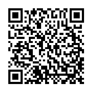 不过也就是在这时候这几位仙王强者心里已经是有了主意了二维码生成