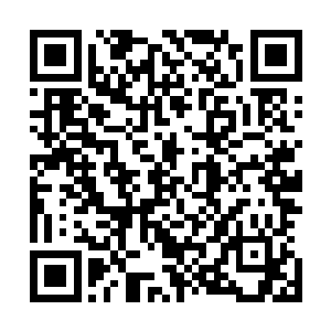 不过也没有拒绝而是白了叶楚一眼这才拉着他走向了法阵外二维码生成