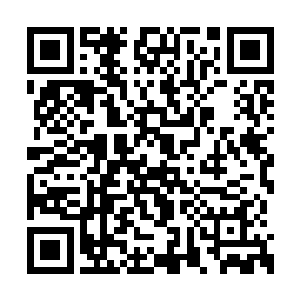 不过也绝对是现在中土修真界第一人的青玄真人二维码生成