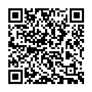 不过从上面蛮苍也感受到了一股浓浓的造化气息二维码生成